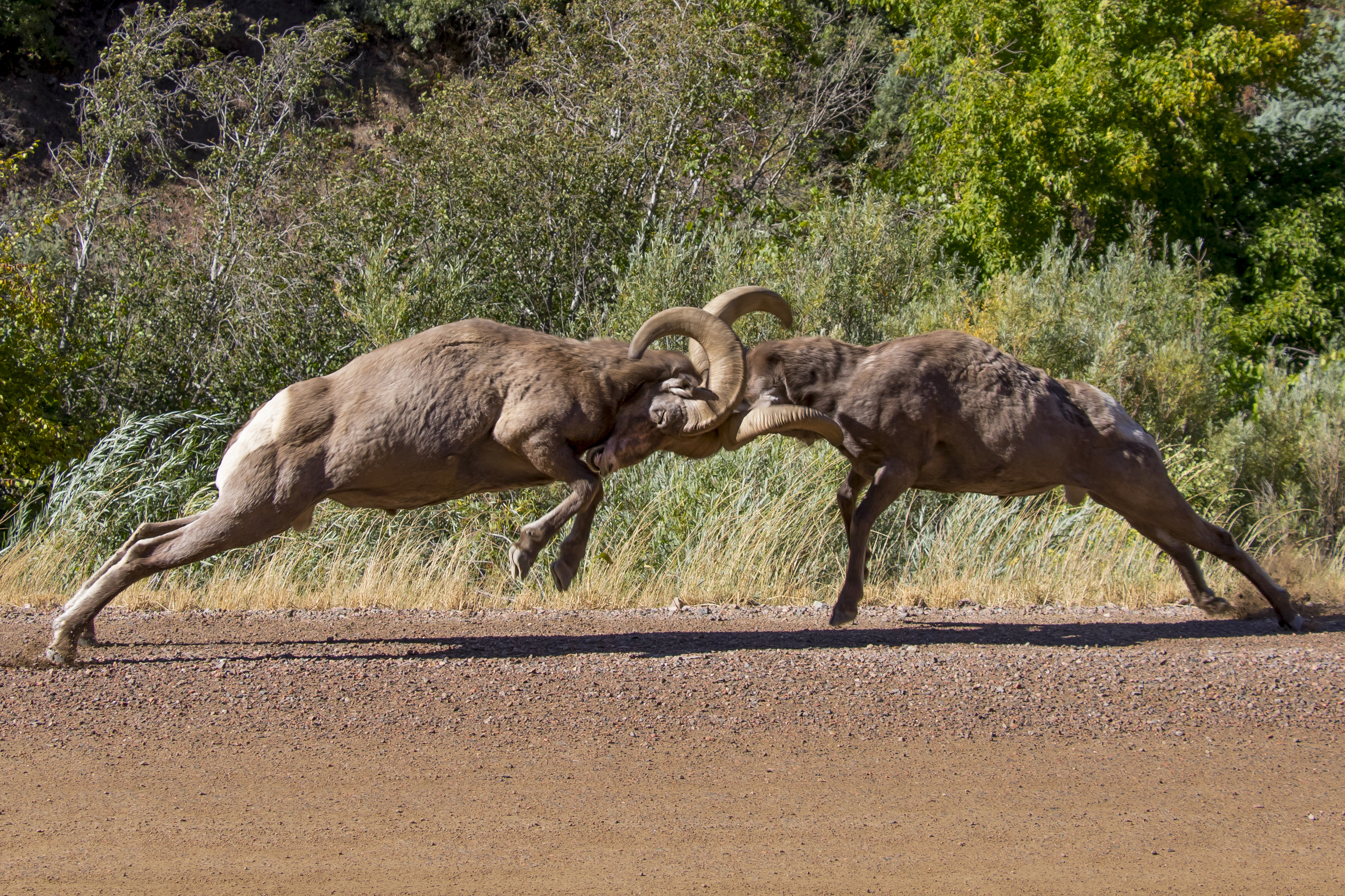 A Credible Argument (Part 2) – What Constitutes A “Sound And Valid Argument”?